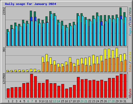 Daily usage for January 2024