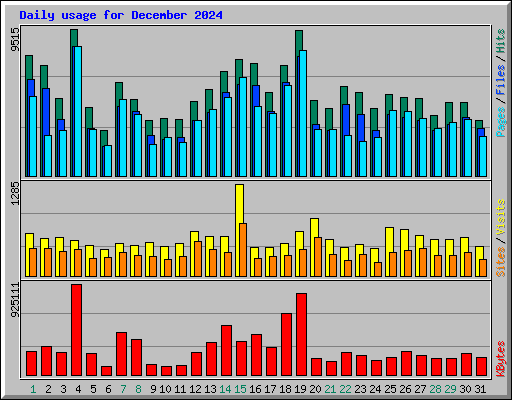 Daily usage for December 2024
