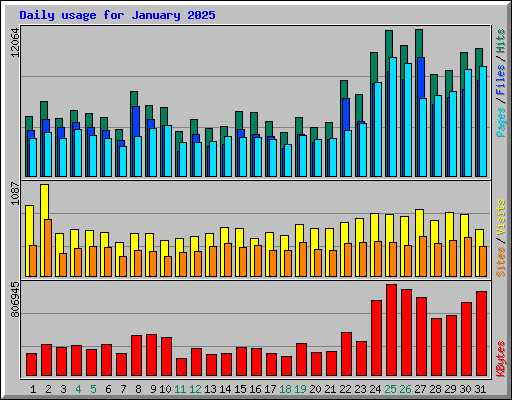 Daily usage for January 2025