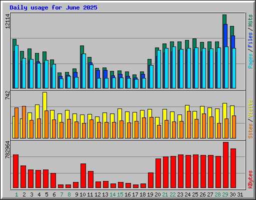 Daily usage for June 2025