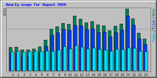 Hourly usage for August 2020