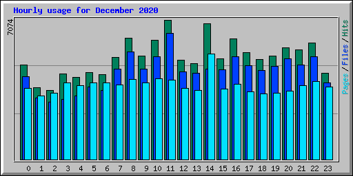 Hourly usage for December 2020