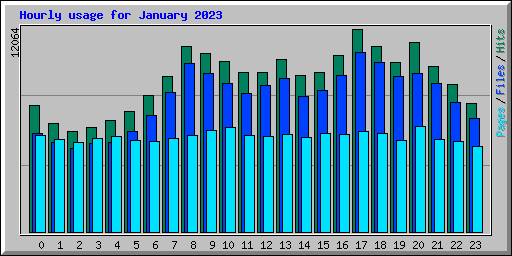 Hourly usage for January 2023