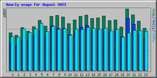Hourly usage for August 2023