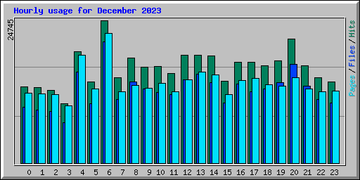 Hourly usage for December 2023
