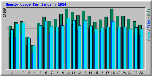 Hourly usage for January 2024