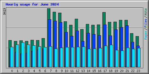 Hourly usage for June 2024