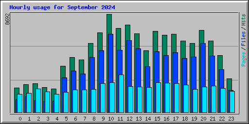 Hourly usage for September 2024