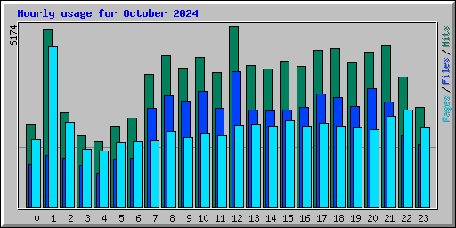 Hourly usage for October 2024