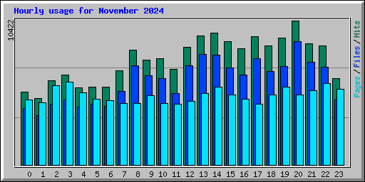 Hourly usage for November 2024