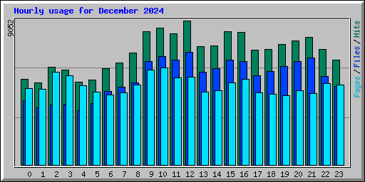 Hourly usage for December 2024