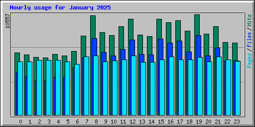 Hourly usage for January 2025