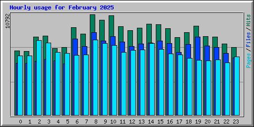 Hourly usage for February 2025