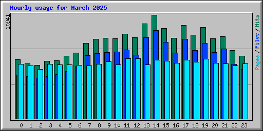 Hourly usage for March 2025