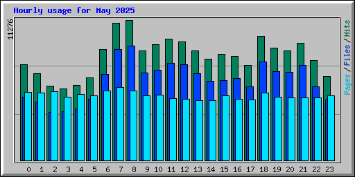 Hourly usage for May 2025