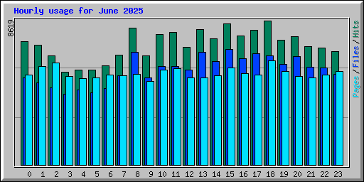 Hourly usage for June 2025