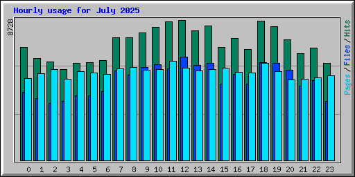 Hourly usage for July 2025
