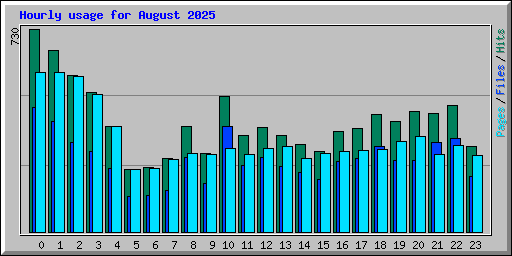 Hourly usage for August 2025