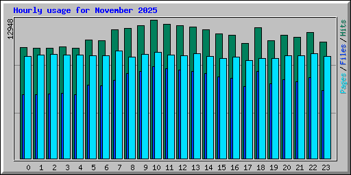 Hourly usage for November 2025