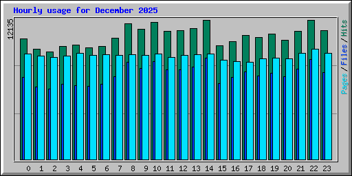 Hourly usage for December 2025