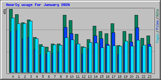 Hourly usage for January 2026